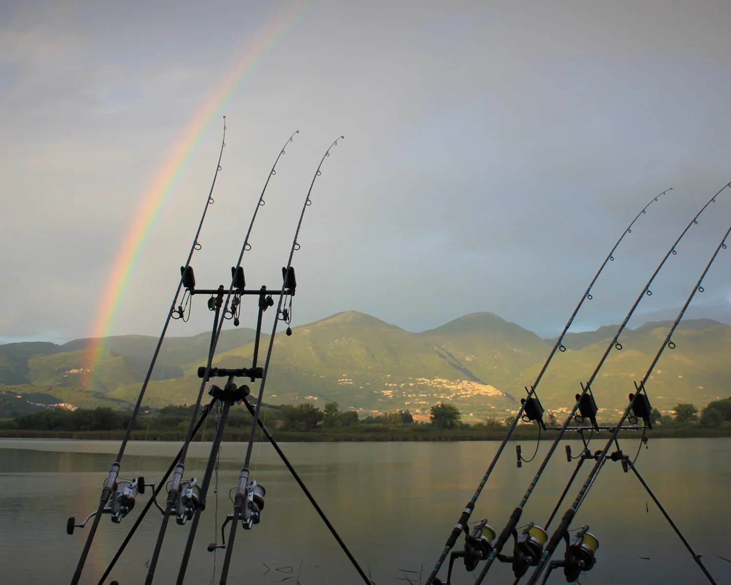 Karpfenangeln Rod Pod