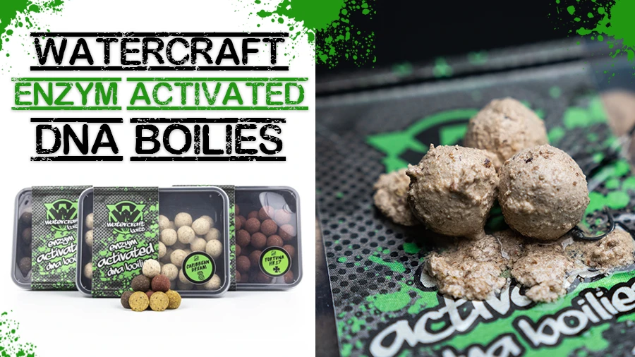Enzym Boilies Enzym Boilies