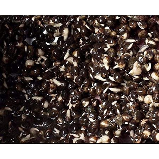 Hemp cooked 800gr
