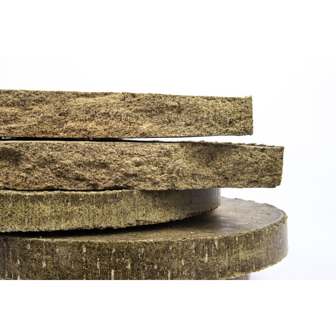 Ölkuchen Kürbiskern zwei Platten 4kg+