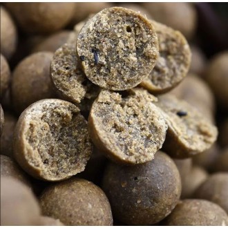 CC Moore Odyssey XXX Shelf Life Dumbell Boilies